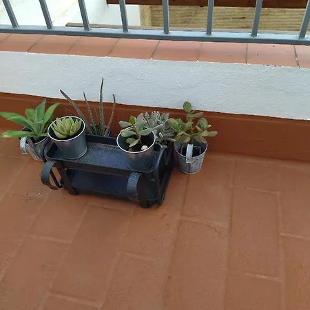 Centro Homestay